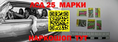 мяу мяу мука Владикавказ