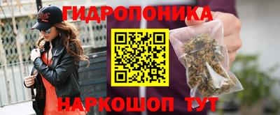 мяу мяу мука Владикавказ
