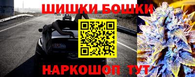 ешки Владимир