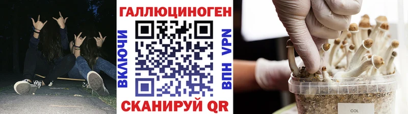где купить наркоту  Курган  Галлюциногенные грибы ЛСД 