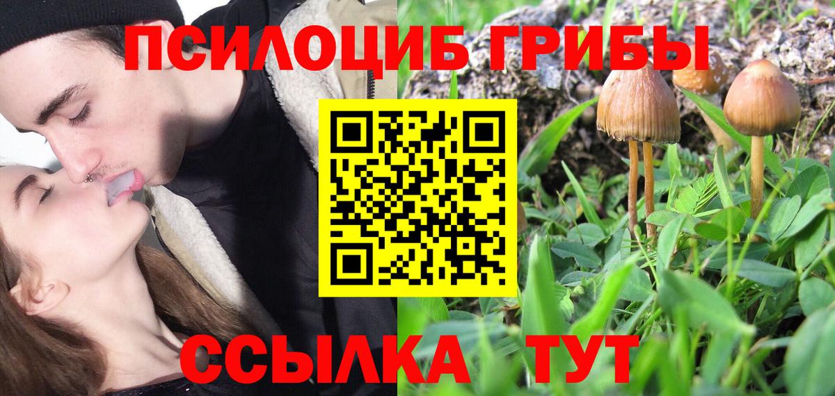 Псилоцибиновые грибы прущие грибы Курган